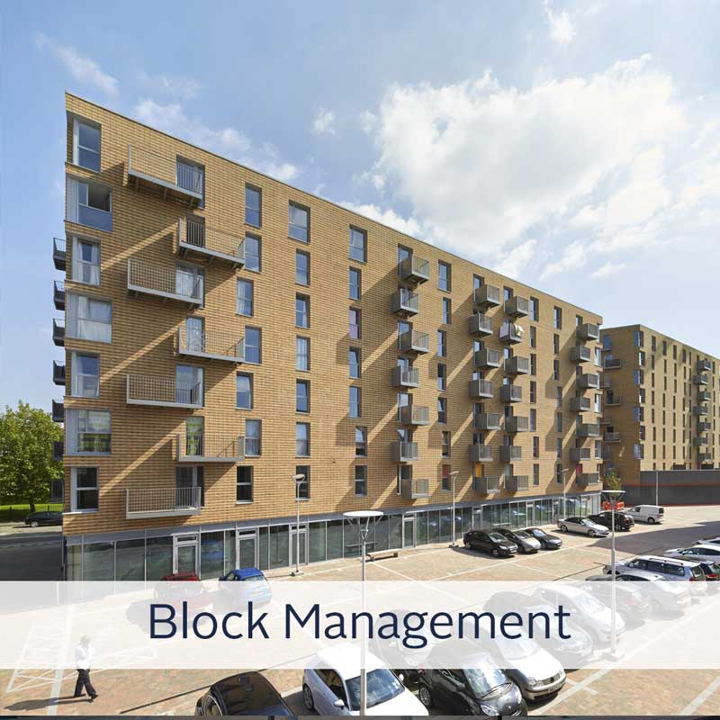 Block Management